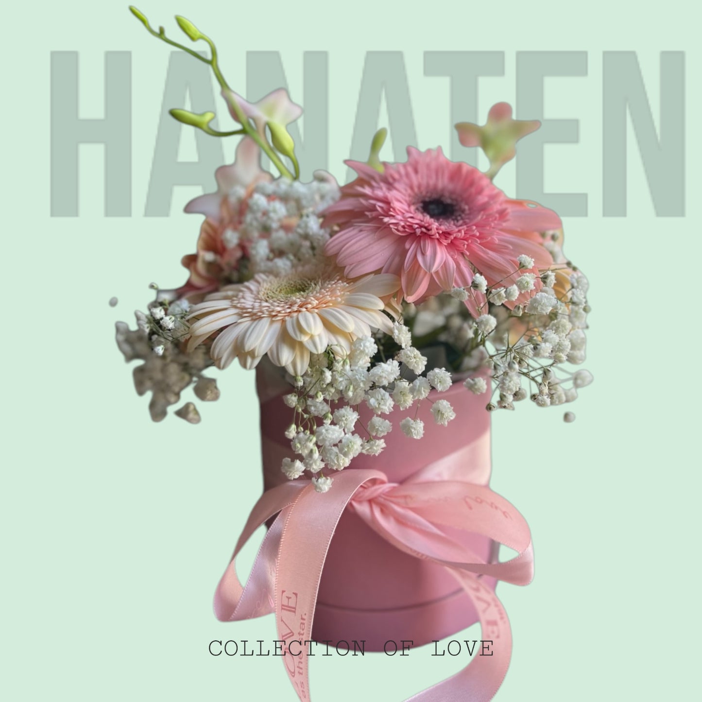 Sweet Daisy Pink Flower Box