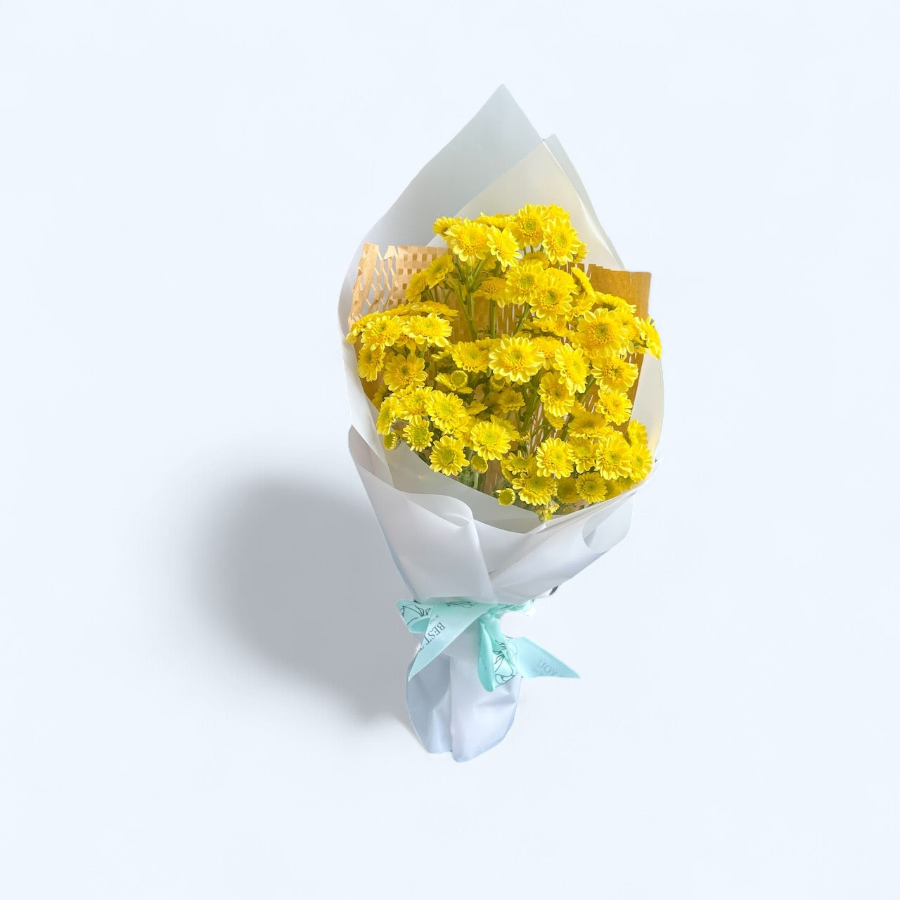 Just Chrysanthemum
