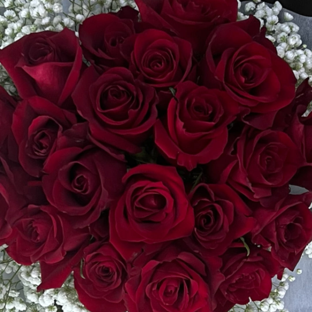 Premium Love - Premium 20 stems Red Rose With Baby Breath