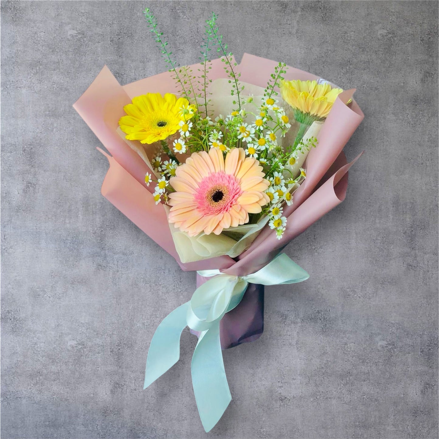 Tri Colour Daisy