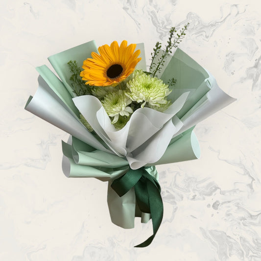 Single Daisy and Chrysanthemum